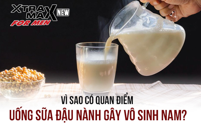 Vì sao có quan điểm uống sữa đậu nành gây vô sinh nam?