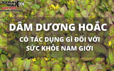 Dâm Dươn Hoắc
