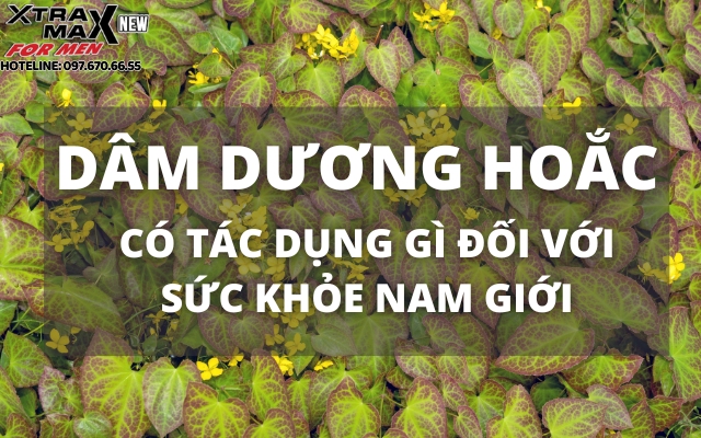 Dâm Dươn Hoắc